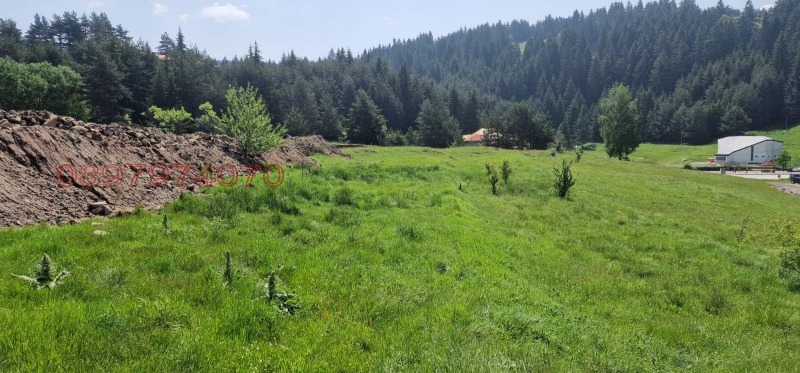 Продава ПАРЦЕЛ, гр. Доспат, област Смолян, снимка 3 - Парцели - 52780349