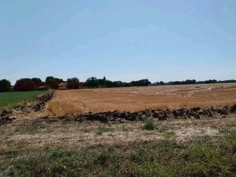 Продава ЗЕМЕДЕЛСКА ЗЕМЯ, с. Могила, област Стара Загора, снимка 2 - Земеделска земя - 52780280