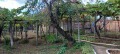 Продава КЪЩА, област Стара Загора, с. Ръжена • 85000 лв. / 43459.81 € • 10015275 2