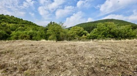 Parcelle Borilovo, région Stara Zagora