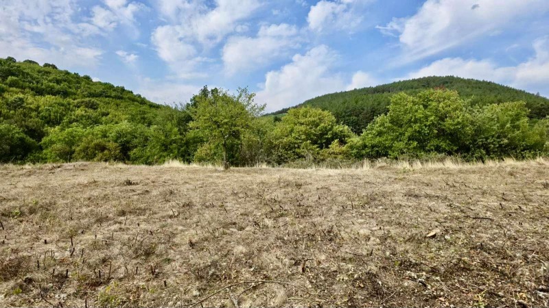 Продава ПАРЦЕЛ, област Стара Загора, с. Борилово • 40000 € • 65953909 — Holmes.bg