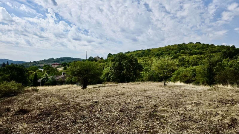 Zu verkaufen  Handlung region Stara Sagora , Borilowo , 1583 qm | 80221495 - Bild [6]