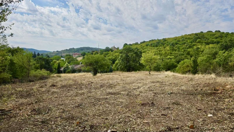 Zu verkaufen  Handlung region Stara Sagora , Borilowo , 1583 qm | 80221495 - Bild [5]