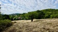 Продава ПАРЦЕЛ, област Стара Загора, с. Борилово • 40000 € • 65953909 — Holmes.bg