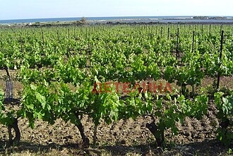 ������� ���������� ���� | Imot.bg � ����������� 3