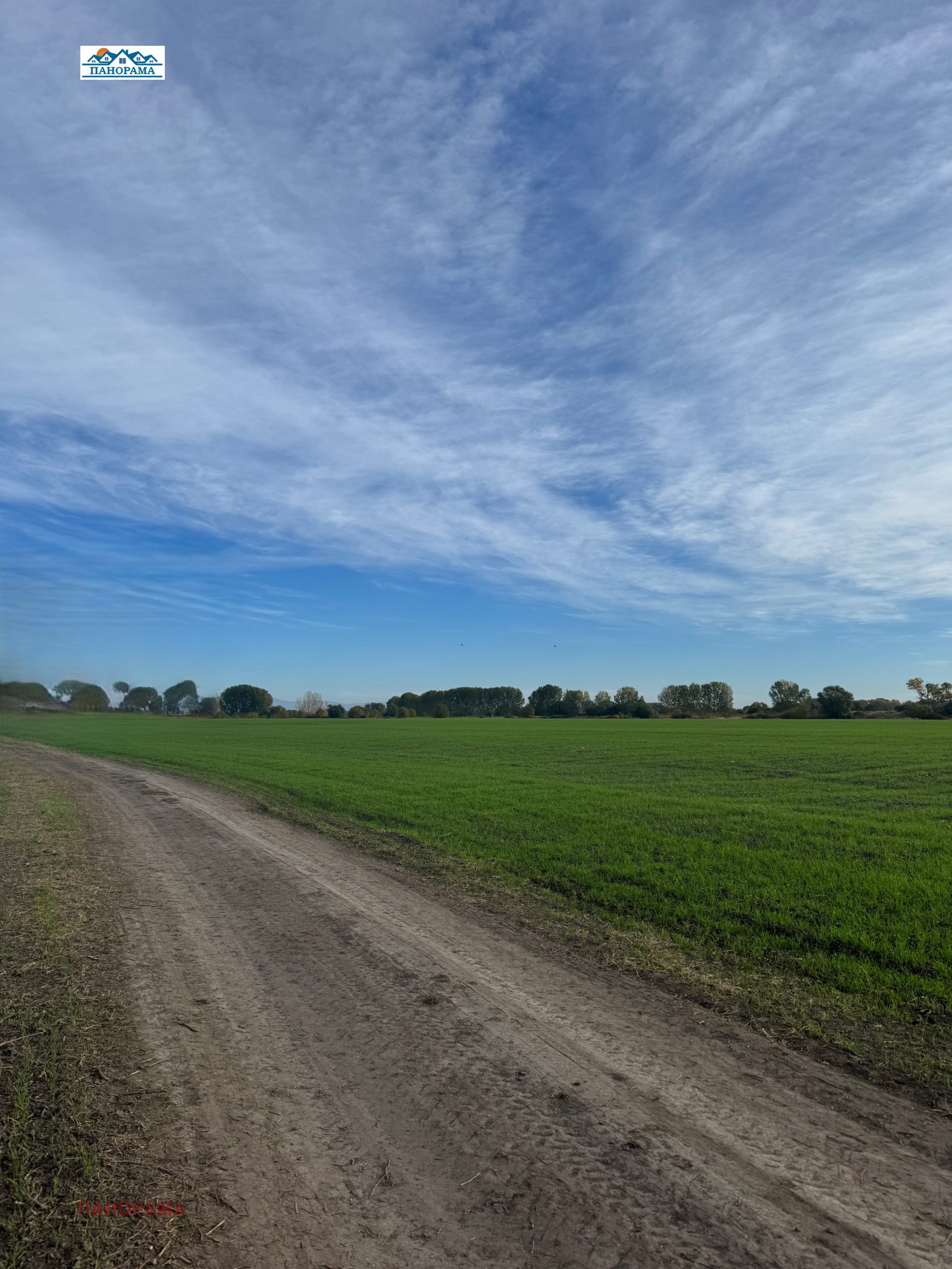 ������� ������ | Imot.bg � ����������� 4