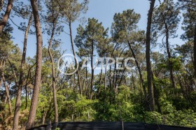 ������� ���� | Imot.bg � ����� ������ 8