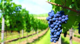 ������� ���������� ���� | Imot.bg � ����� ������ 2