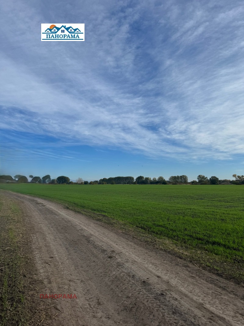 Продава ПАРЦЕЛ, с. Ягодово, област Пловдив, снимка 3 - Парцели - 52822081