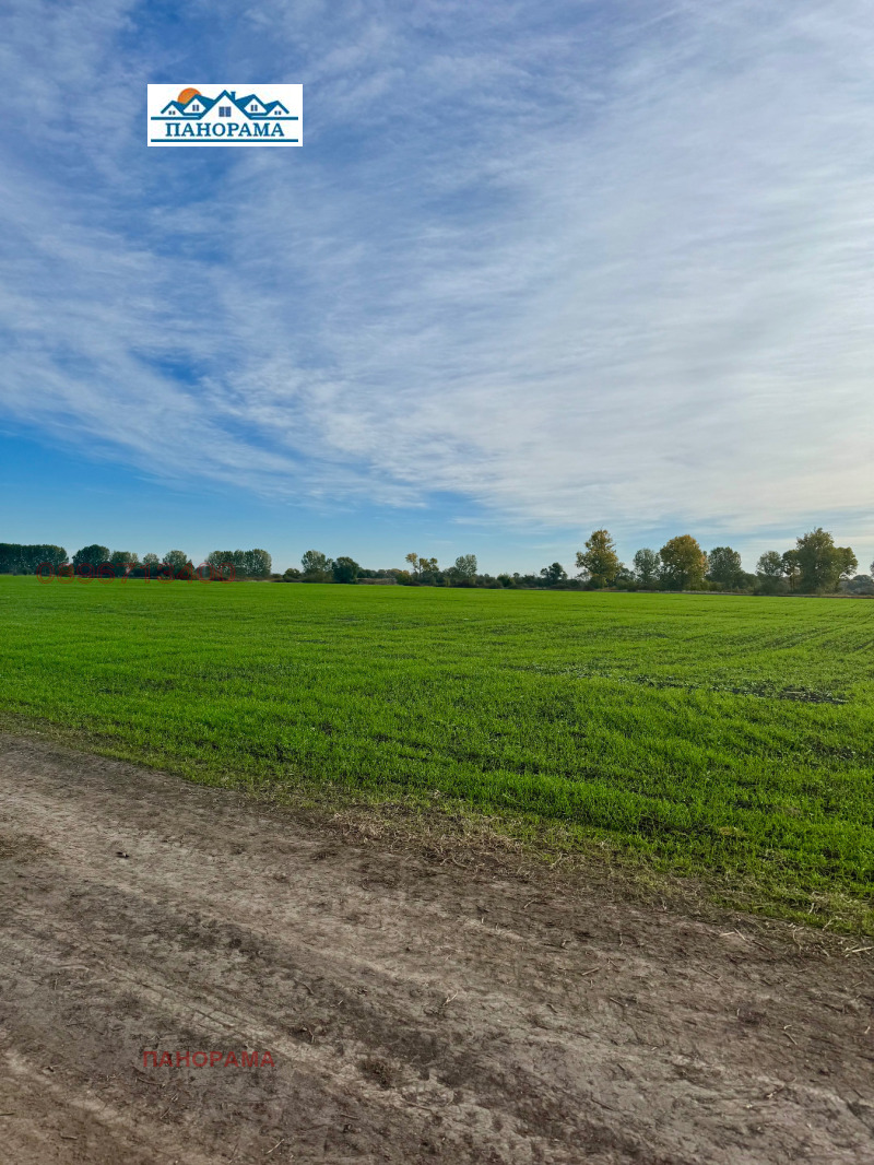 Продава ПАРЦЕЛ, с. Ягодово, област Пловдив, снимка 4 - Парцели - 52822081