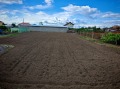 Продава  Парцел област Пловдив , с. Стряма , 1220 кв.м | 45248126 - изображение [4]