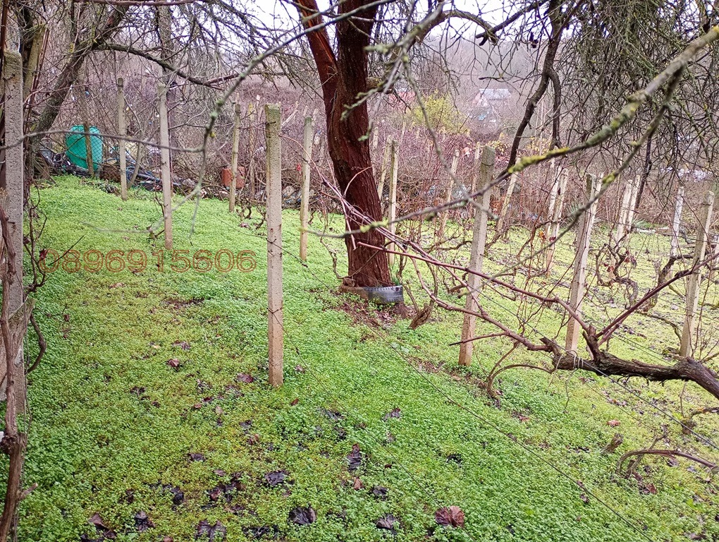 ������� ���� | Imot.bg � ����������� 12