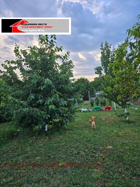 House Skrinyano, region Kyustendil 7