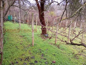 ������� ���� | Imot.bg � ����� ������ 12