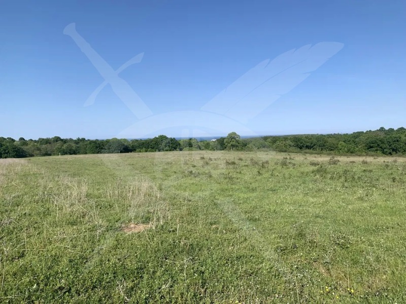 Продава  Парцел област Бургас , гр. Царево , 25303 кв.м | 34998255