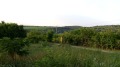 Продава ПАРЦЕЛ, гр. Русе, в.з. Липака, снимка 4