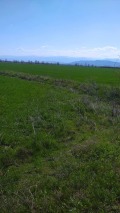 Продава ЗЕМЕДЕЛСКА ЗЕМЯ, с. Добровница, област Пазарджик, снимка 1