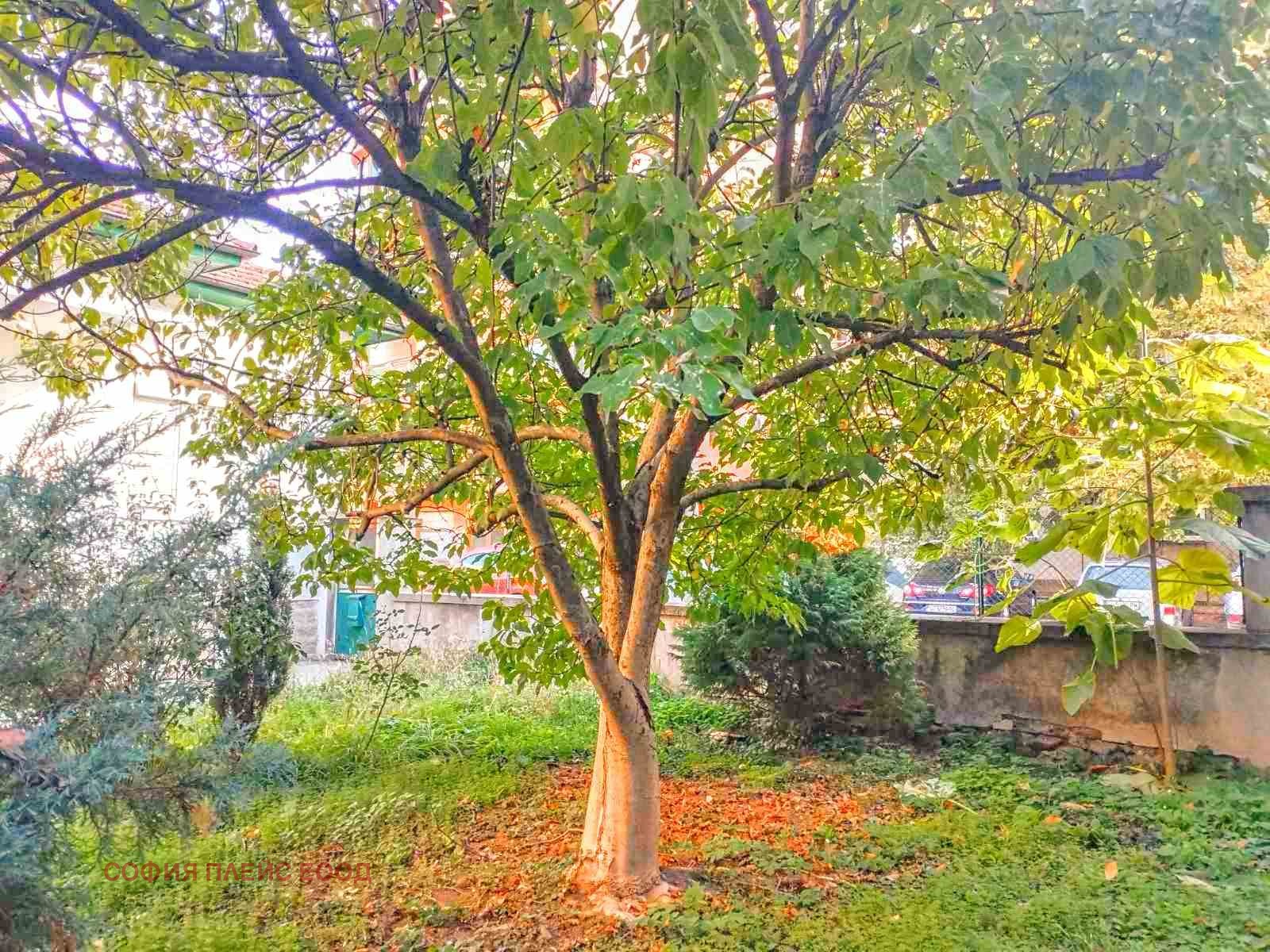 ������� ���� | Imot.bg � ����������� 6