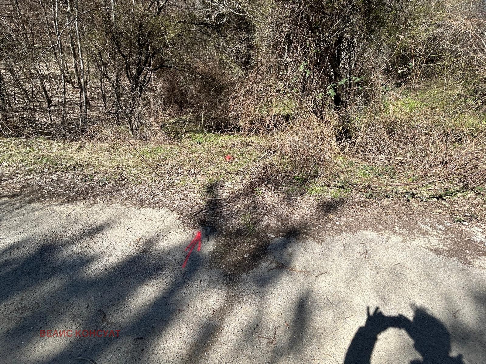 ������� ������ | Imot.bg � ����������� 2