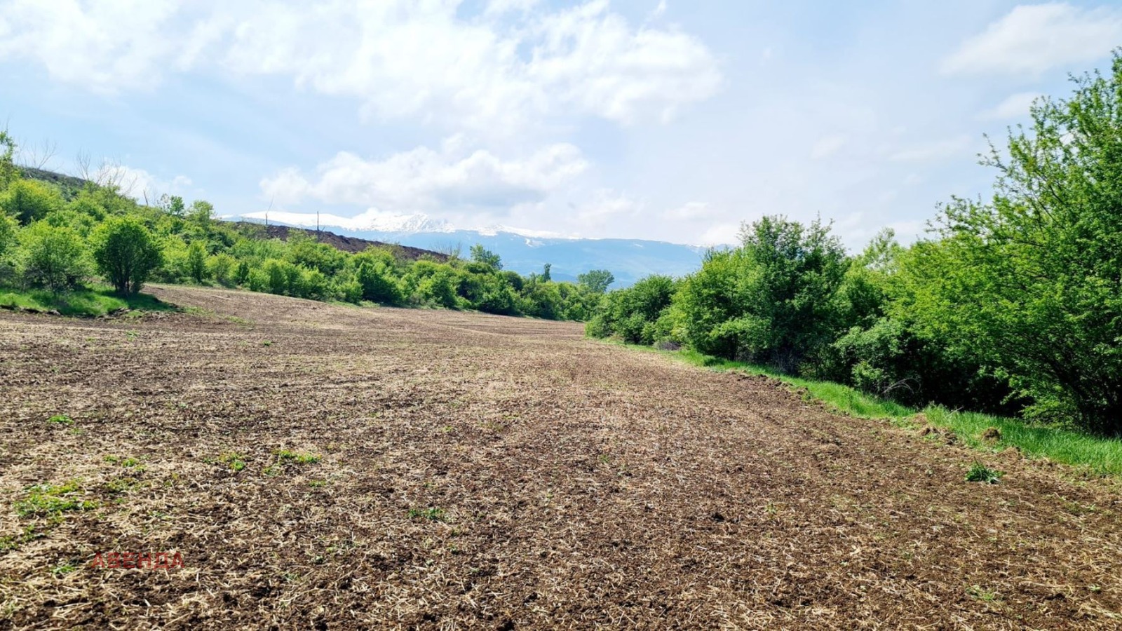 ������� ������ | Imot.bg � ����������� 4