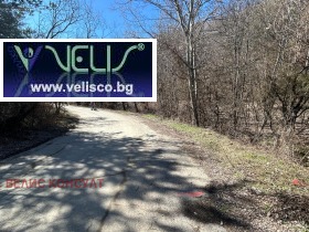 ����� ������� ������,���� �����, �. ��������