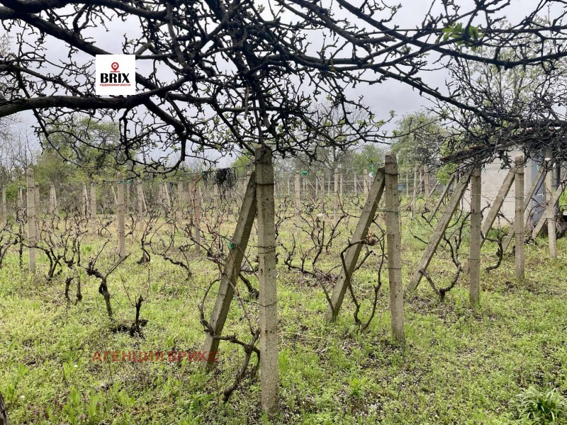 Продава ВИЛА, гр. Русе, област Русе, снимка 10 - Вили - 50599865