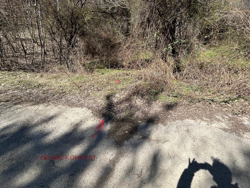 Προς πώληση  Οικόπεδο Σοφηια , Βηστρητσα , 3277 τ.μ | 86944805 - εικόνα [6]