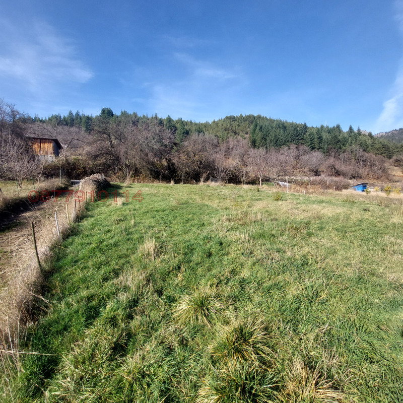 Продава ПАРЦЕЛ, гр. Смолян, Невястата, снимка 9 - Парцели - 52676435