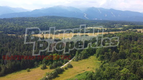 Handlung k.k. Borowez, region Sofia