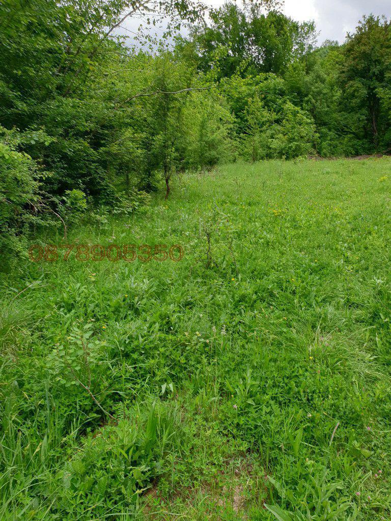 Продава ПАРЦЕЛ, гр. Априлци, област Ловеч, снимка 7 - Парцели - 52786257