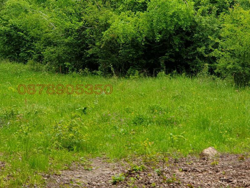 Продава ПАРЦЕЛ, гр. Априлци, област Ловеч, снимка 6 - Парцели - 52786257