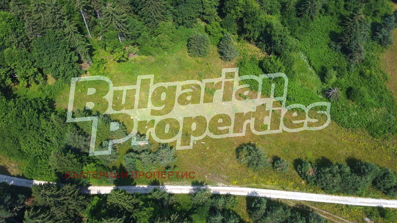 À vendre  Parcelle région Sofia , k.k. Borovets , 5720 m² | 26306419 - image [3]