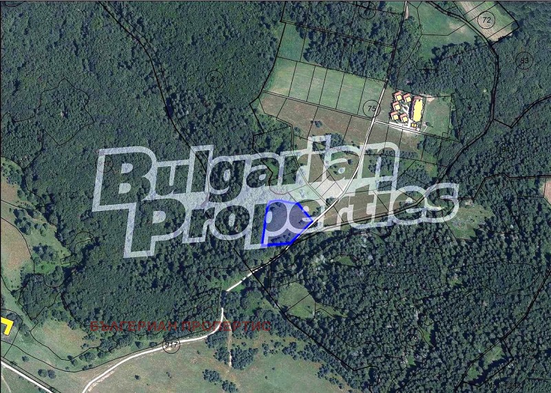 À vendre  Parcelle région Sofia , k.k. Borovets , 5720 m² | 26306419 - image [4]