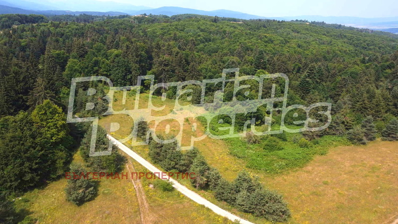 À vendre  Parcelle région Sofia , k.k. Borovets , 5720 m² | 26306419 - image [10]