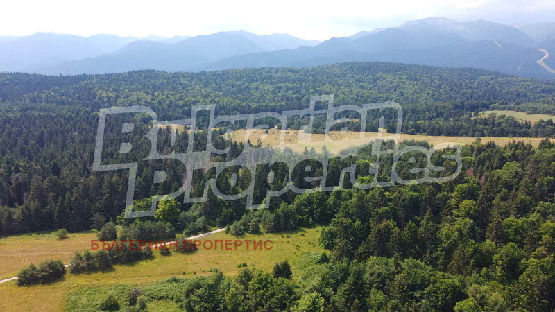 À vendre  Parcelle région Sofia , k.k. Borovets , 5720 m² | 26306419 - image [7]