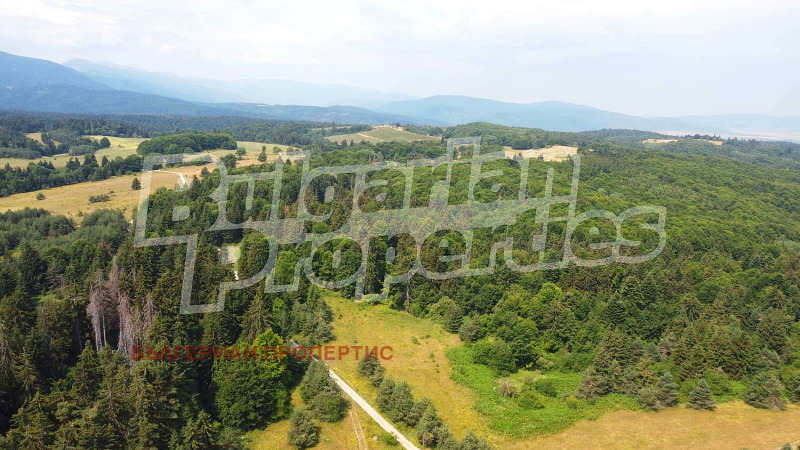À vendre  Parcelle région Sofia , k.k. Borovets , 5720 m² | 26306419 - image [9]