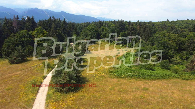 À vendre  Parcelle région Sofia , k.k. Borovets , 5720 m² | 26306419 - image [2]