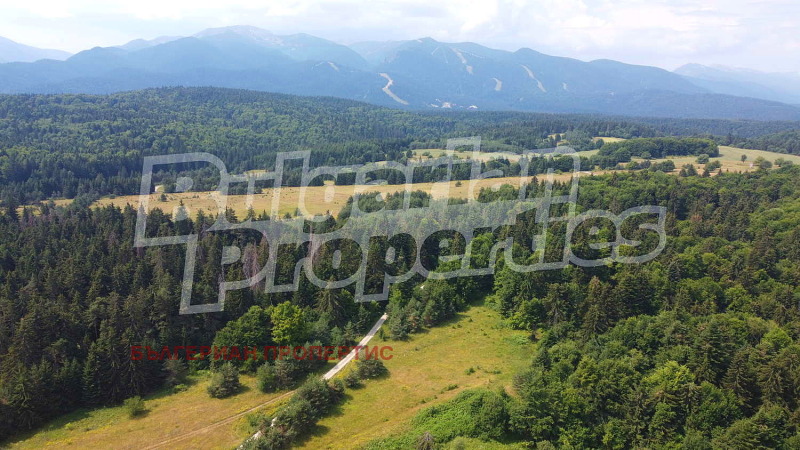 À vendre  Parcelle région Sofia , k.k. Borovets , 5720 m² | 26306419 - image [8]
