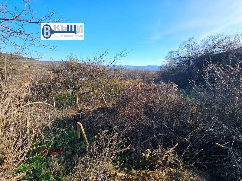 Продава КЪЩА, с. Пчелище, област Велико Търново, снимка 5 - Къщи - 52847019