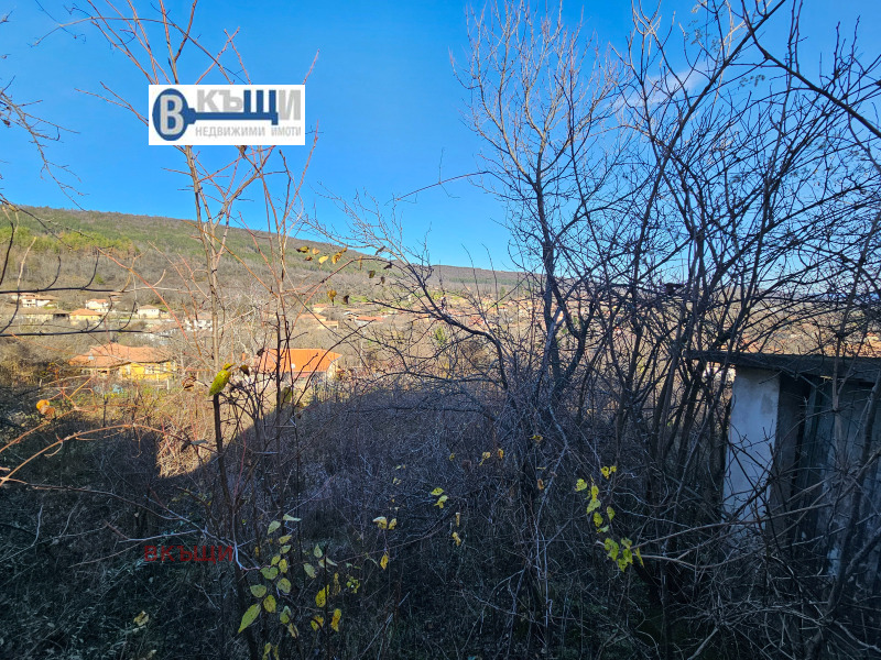 Продава КЪЩА, с. Пчелище, област Велико Търново, снимка 12 - Къщи - 52847019