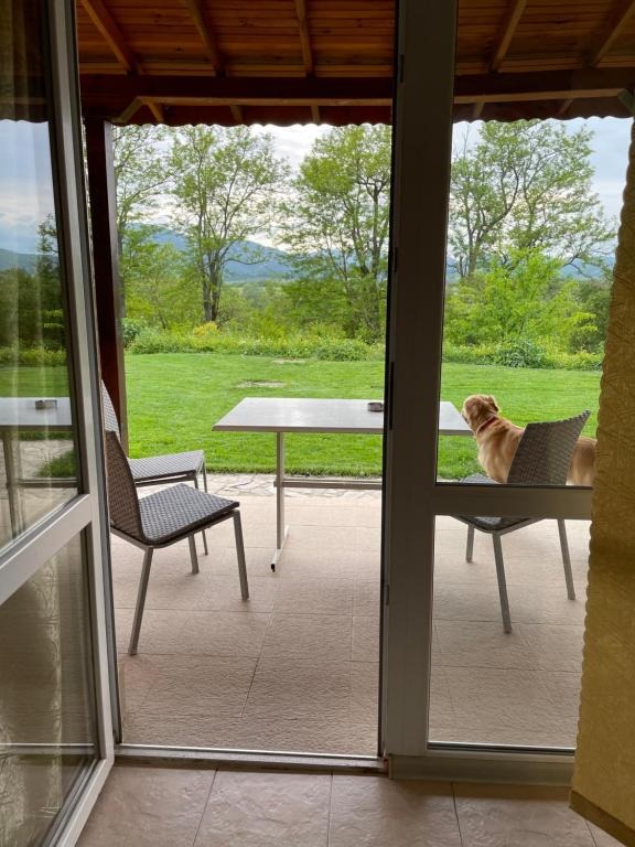 À venda  Hotel região Haskovo , Malki Voden , 800 m² | 32838300 - imagem [17]