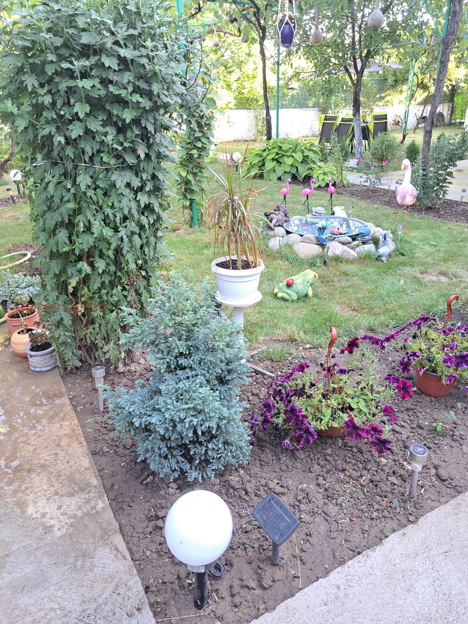 ������� ���� | Imot.bg � ����������� 5