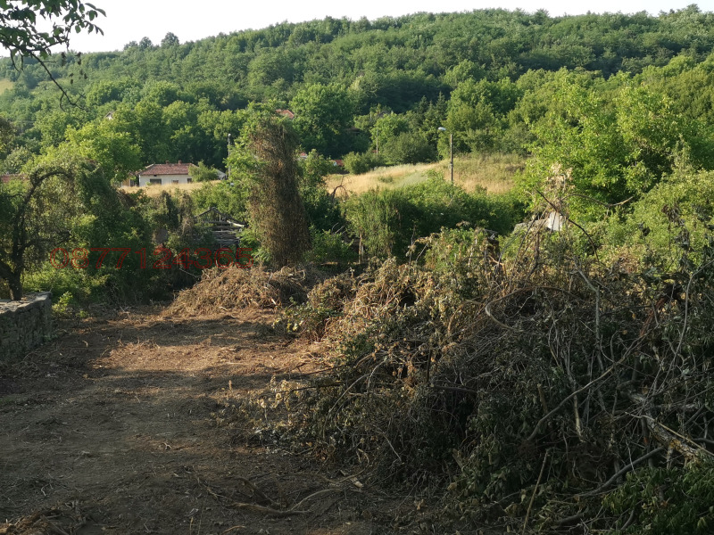 Til salg  Grund region Lovech , Kazachevo , 1470 kvm | 15175515 - billede [7]