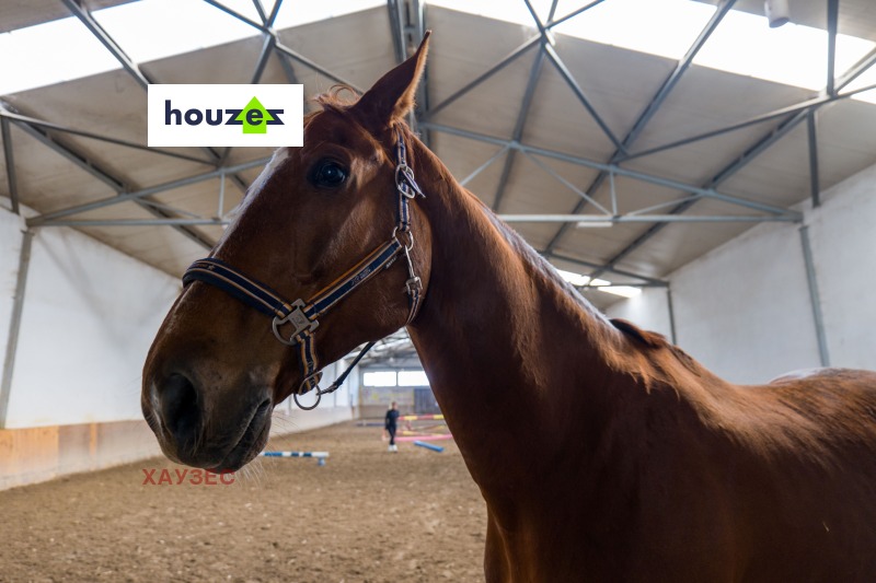 Продава БИЗНЕС ИМОТ, с. Храбърско, област София област, снимка 3 - Други - 52372795