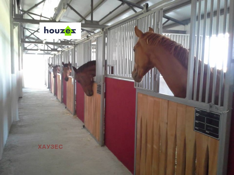 Продава БИЗНЕС ИМОТ, с. Храбърско, област София област, снимка 9 - Други - 52372795