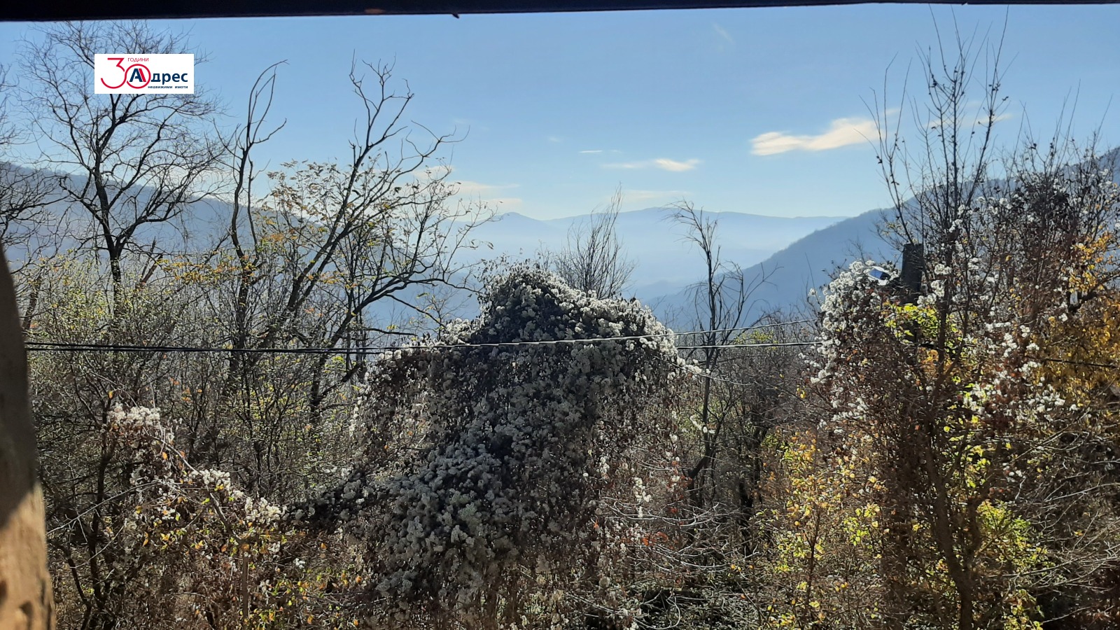 ������� ���� | Imot.bg � ����������� 8