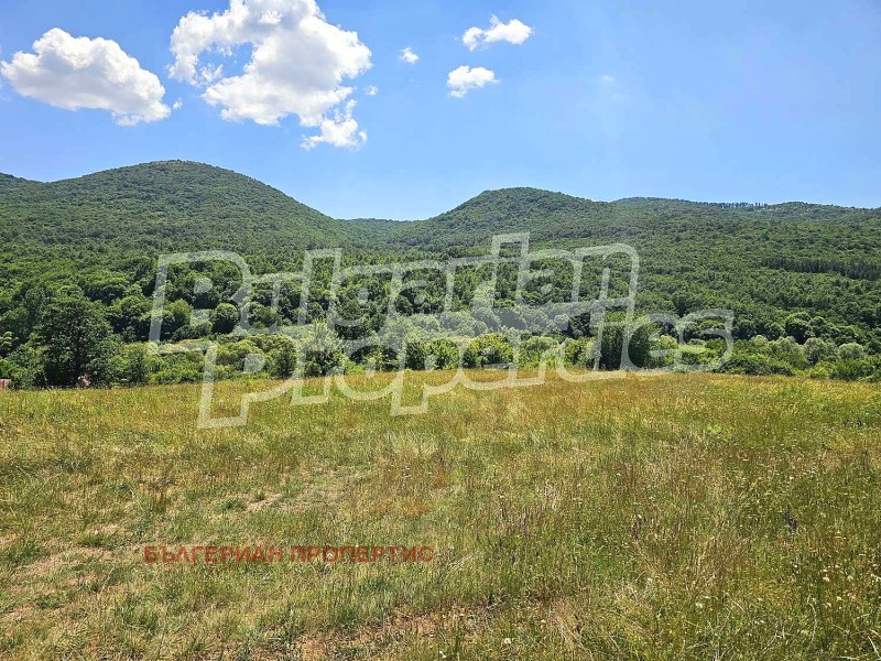 À vendre  Atterrir région Sofia , Lopouchnya , 1.021 dka | 50992755 - image [9]