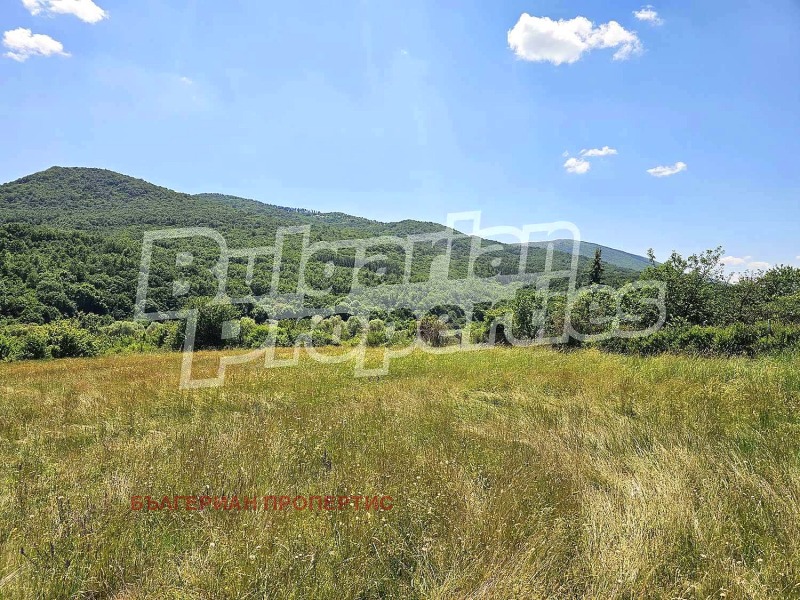 À vendre  Atterrir région Sofia , Lopouchnya , 1.021 dka | 50992755 - image [5]