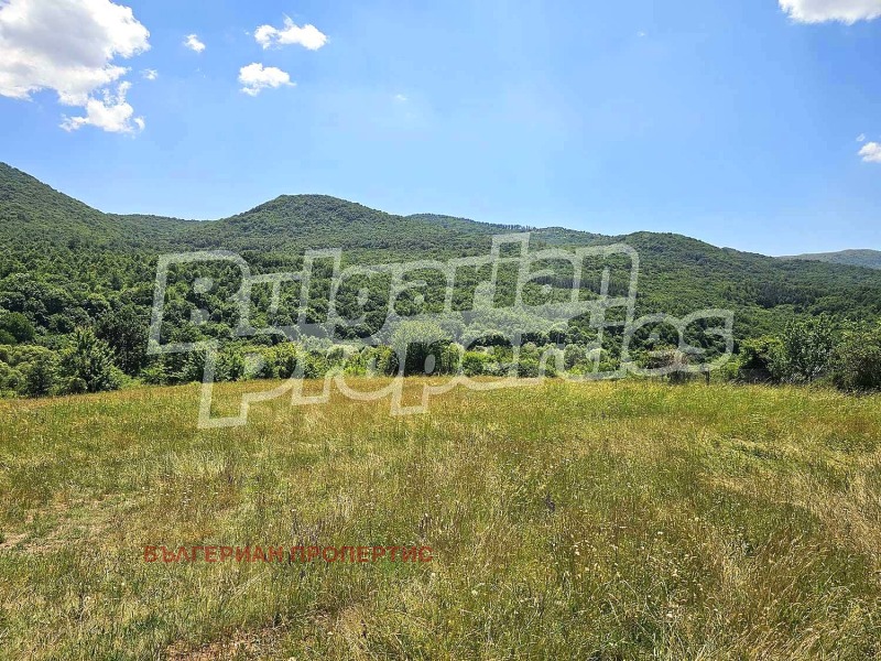 À vendre  Atterrir région Sofia , Lopouchnya , 1.021 dka | 50992755 - image [3]