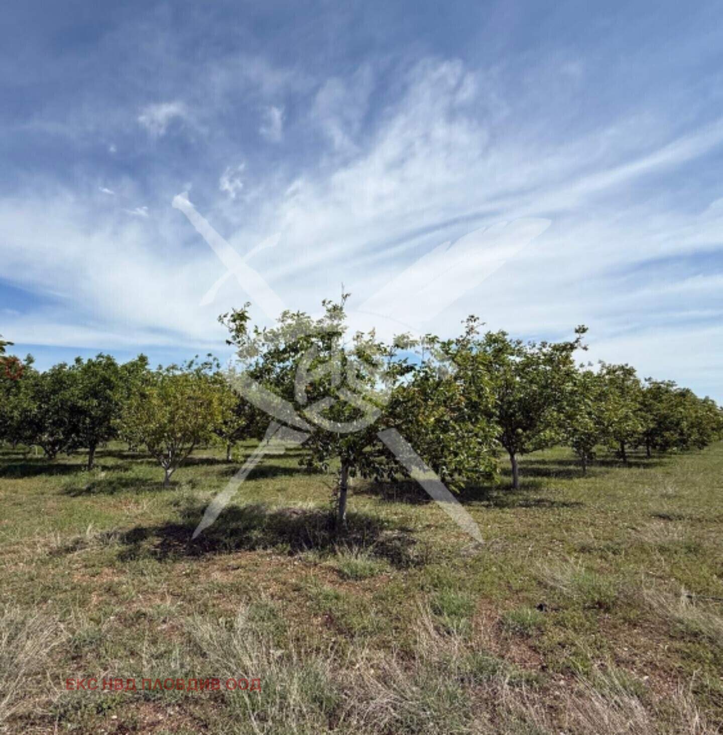 ������� ���������� ���� | Imot.bg � ����������� 1